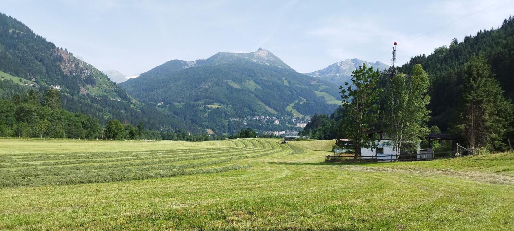 Bio Bauernhof Schweizerhof Villa Бад Хофгащайн Екстериор снимка